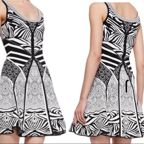 Dvf Fanny Fit & Flare Dress Zebra Tattoo Sz Small